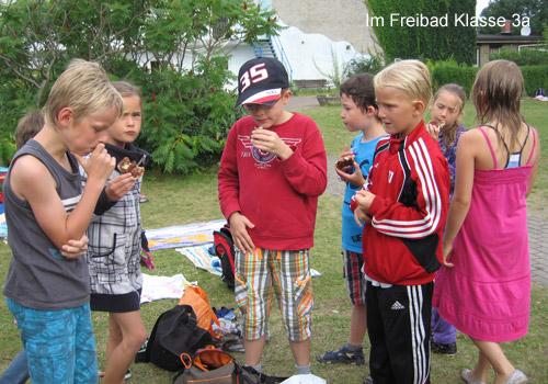 bild2 (5)