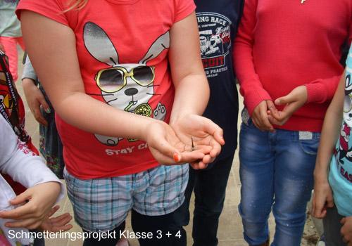 bild6