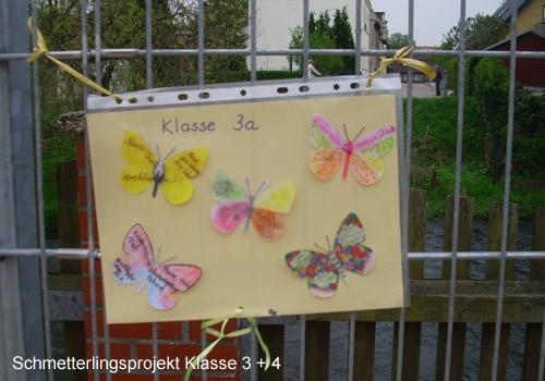 bild7