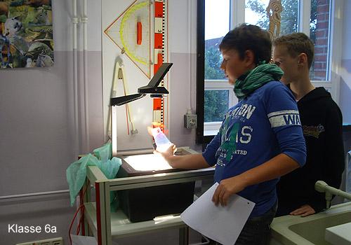bild3 (1)