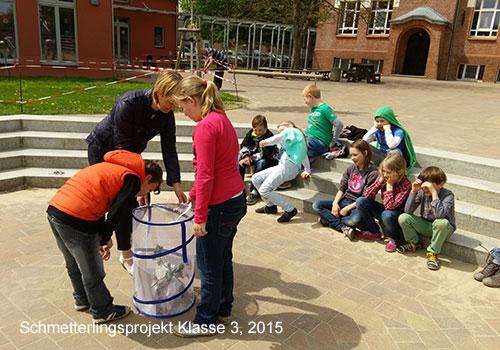 bild1
