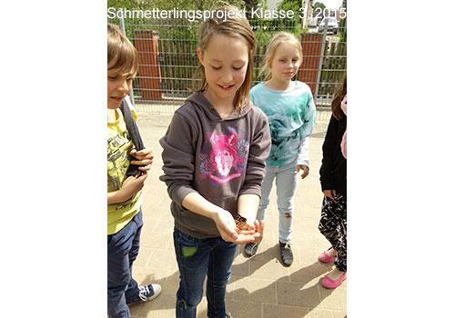 bild3