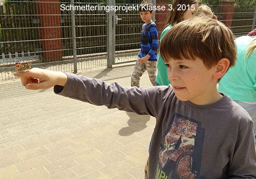 bild4