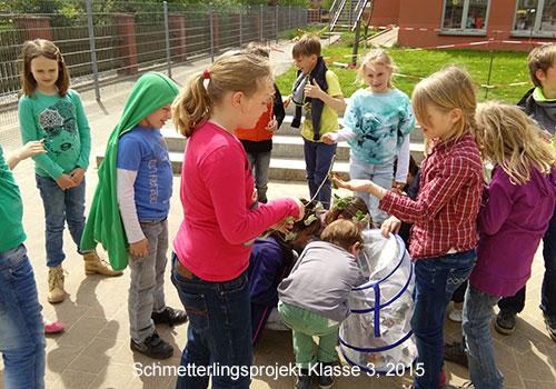 bild6