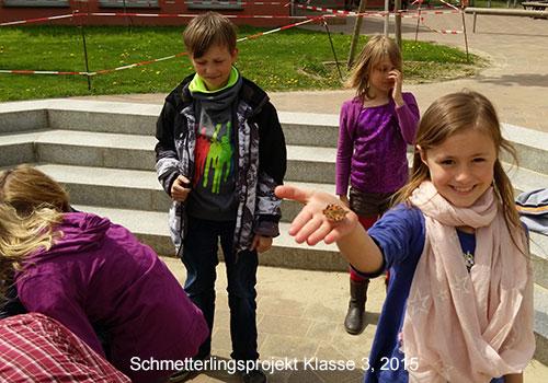 bild7