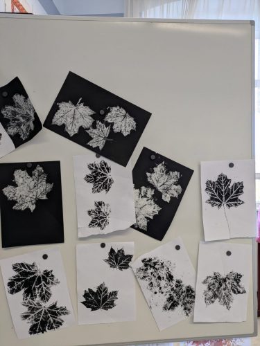 PXL 20251104 101033364