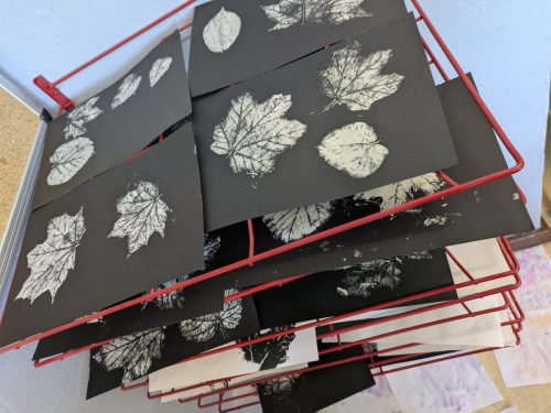 PXL 20251104 101055846